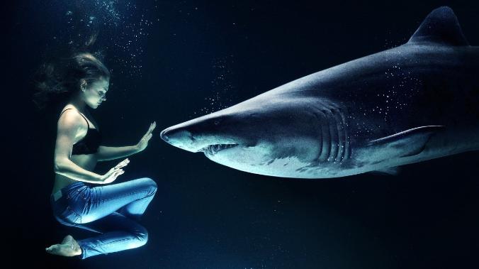 Science Today: В Мексике ученые нашли доисторическую акулу с крыльями
