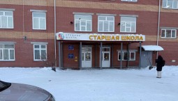 Школьница напала на сверстников в Красноярске 