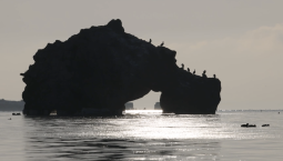 В Крыму зафиксировали землетрясение магнитудой 4,8