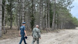 В лесах Севастополя из-за жары усилен патруль