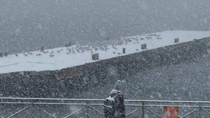 Школьников Ялты отпустили с уроков из-за непогоды