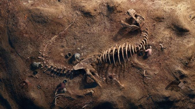 Останки самого крупного динозавра обнаружили в Португалии 