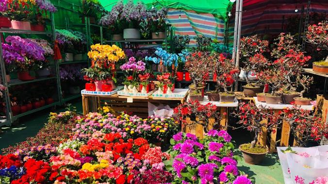 Гонконг «расцвёл» красочной ярмаркой цветов
