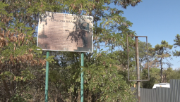 Ушакову балку просят спасти от разрушения и забвения