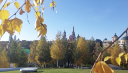 Какие российские законы вступают в силу с ноября?