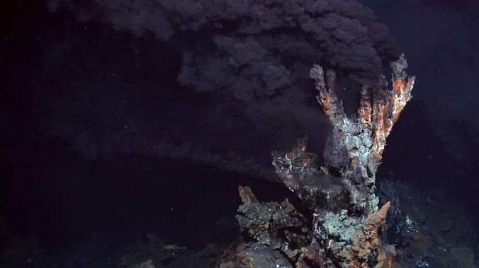 В жерле подводного вулкана учёные обнаружили сотни новых форм жизни