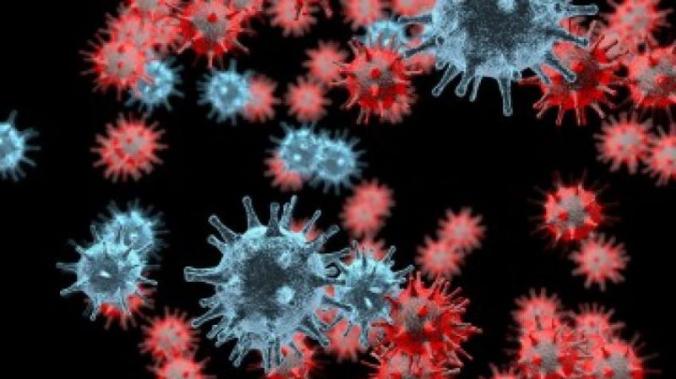 Medical Xpress: модифицированный вирус герпеса уничтожает рак