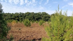 Сезон агроухода завершается в Севастополе 