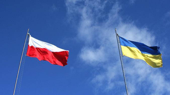 Царёв: если Польша войдёт на Украину, кризис затянется