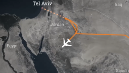 Инцидент на борту Flydubai назвали попыткой теракта
