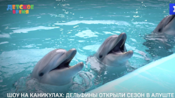 Шоу на каникулах: дельфины открыли сезон в Алуште