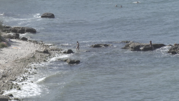 Официальный пляж появится в Карантинной бухте