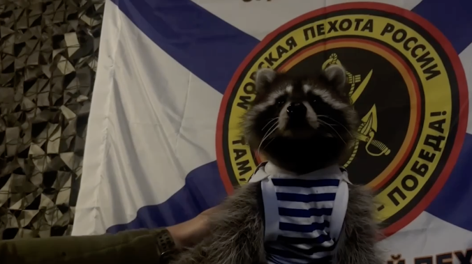 Бойцы 810 бригады морской пехоты приютили енота