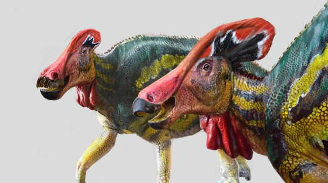 Мексиканские ученые обнаружили неизвестный вид динозавров с гребнем