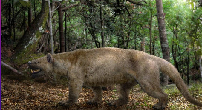 Nature: древние млекопитающие жили недолго и умирали молодыми