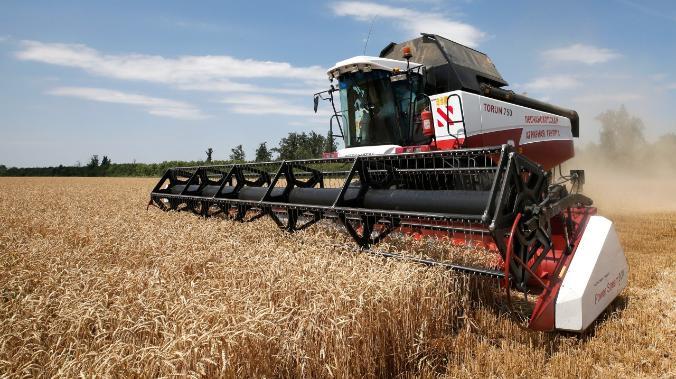 Минсельхоз РФ в 2022 году решил закупать зерно на всякий случай