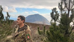 В Крыму за рубку сосен поймали пять нарушителей