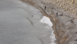 Рост уровня кислорода зафиксирован у берегов Крыма