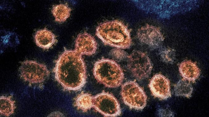 Фрагменты генома коронавируса COVID-19 способны встраиваться в геном человека 