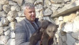 Новорождённых медвежат в Бахчисарае назвали Марта и Крымчик