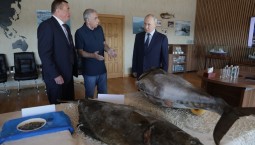 Путин впервые приехал на Курильские острова