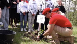 На Сапун-горе высадили легендарный Тополь Победы