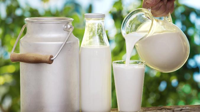 Small: микроботы очищают молоко от опасных бактерий, не трогая полезные