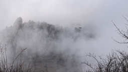 В Крыму ожидается усиление ветра до 25 м/с