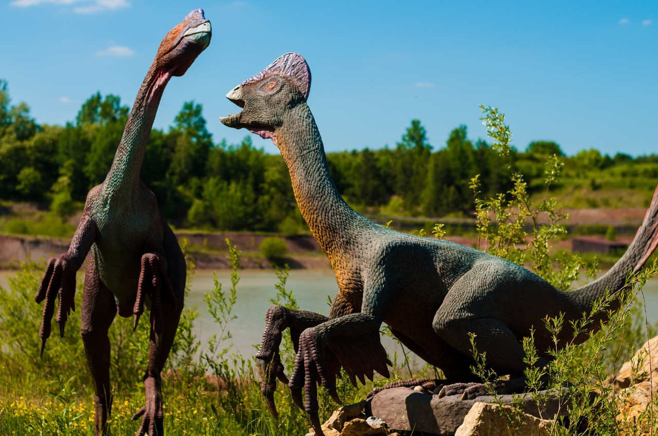 Steam Atölyesi::Раптор (Raptor) RUS