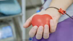 Записаться на сдачу крови можно через Госуслуги