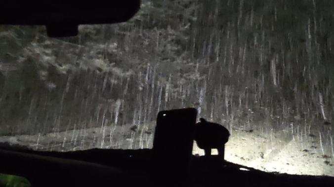 Первый день зимы в Крыму будет снежным