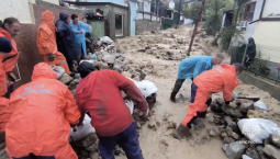Потопы и упавшие деревья: непогода накрыла Южный берег Крыма