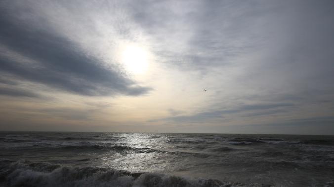 В конце недели в Крыму усилится ветер до 15-20 м/с