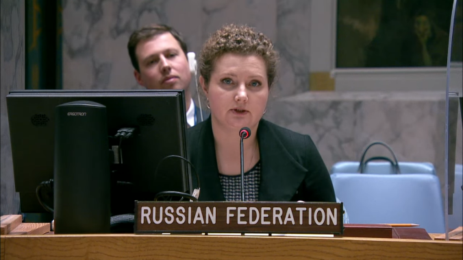Зампостпреда РФ при ООН Евстигнеева: Россия отвергает измышления Запада о присвоении ресурсов Африки