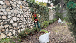 Возле кинотеатра «Победа» в Севастополе очистили территорию