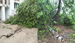 В Севастополь – непогода: ветер валит опоры освещения
