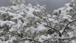 16-19 января на Крым надвигаются снегопады и шторм