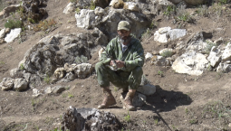 Ветеран спецоперации выращивает в Севастополе сазанов и карпов