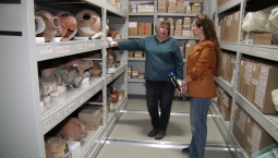 Коллекции Херсонеса Таврического обрели новый дом