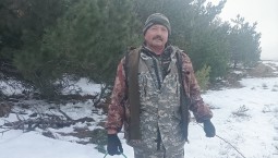 В Крыму заготавливают семена хвойных лесных пород