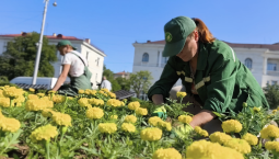 9 000 бархатцев высадили в центре Севастополя
