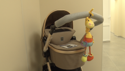 В пунктах проката расширен список детских предметов