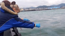 За затонувший у Ялты плавкран выплатят 114,7 млн рублей