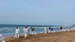 На Кубани убирают небольшие выбросы мазута
