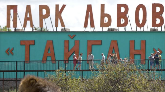 В Крым привезли животных из новых регионов