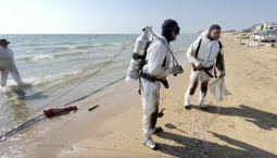 337 мешков с мазутом за 10 дней собрали в Анапе