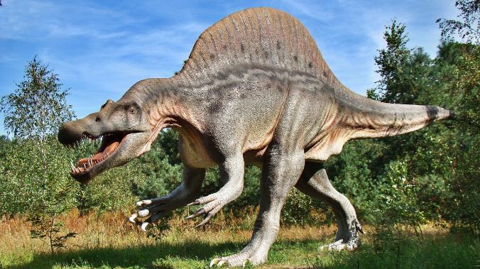 Журналисты развенчали шесть популярных мифов о динозаврах