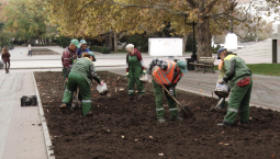В Севастополе к весне высадят более 250 000 цветов