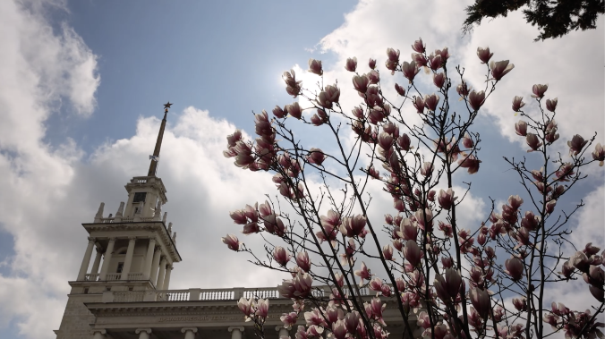 Весна в Севастополе: город утопает в живописных этюдах