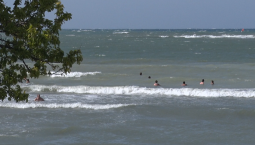 В Севастополе пляжи чистые, но мусор вывозят плохо